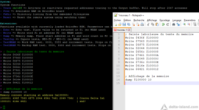Du script (avec des fautes de frappe),